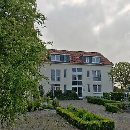 Hafenresidenz - 13 Dahlien