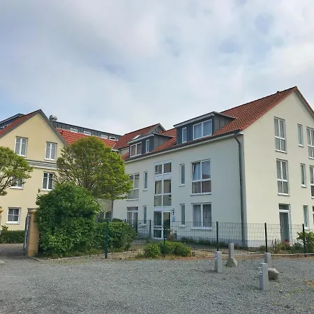 Hafenresidenz - 13 Dahlien